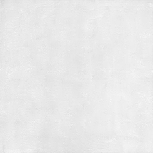 ST-301 Oyster Pearl